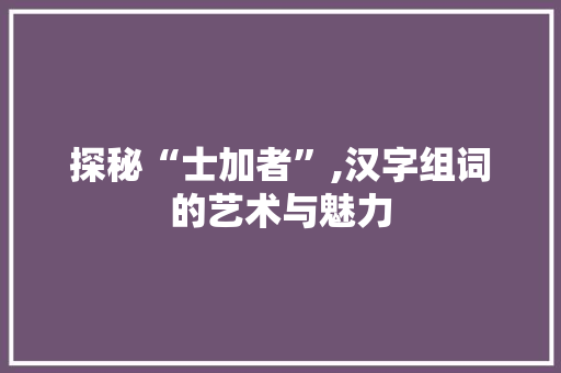 探秘“士加者”,汉字组词的艺术与魅力