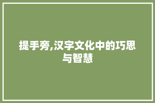 提手旁,汉字文化中的巧思与智慧