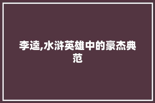 李逵,水浒英雄中的豪杰典范