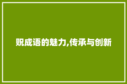 贶成语的魅力,传承与创新