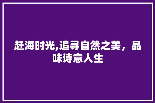 赶海时光,追寻自然之美，品味诗意人生