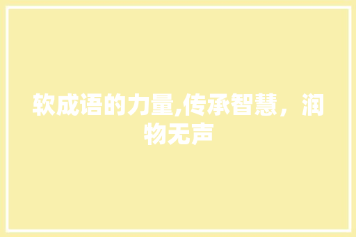 软成语的力量,传承智慧，润物无声