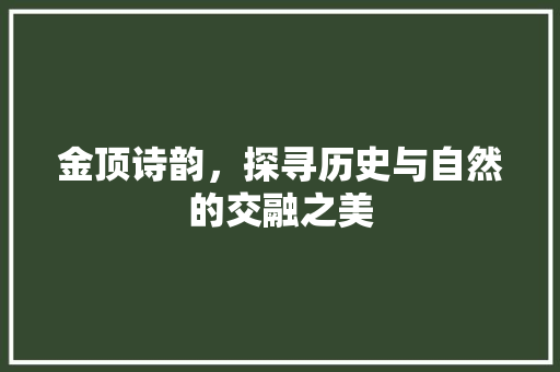 金顶诗韵，探寻历史与自然的交融之美