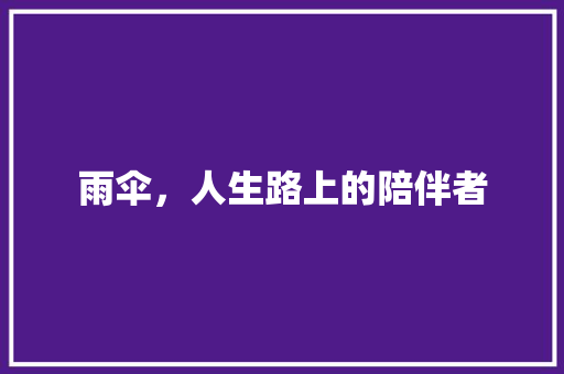 雨伞，人生路上的陪伴者