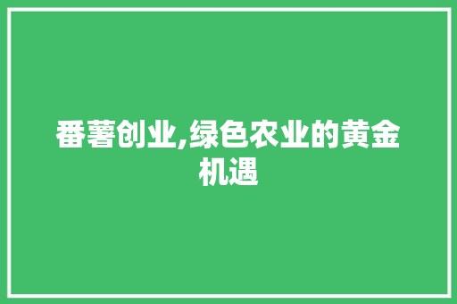 番薯创业,绿色农业的黄金机遇