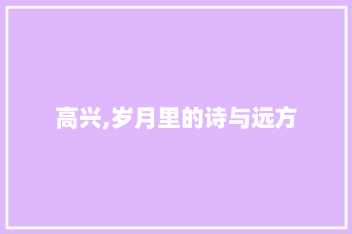 高兴,岁月里的诗与远方