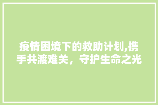 疫情困境下的救助计划,携手共渡难关，守护生命之光