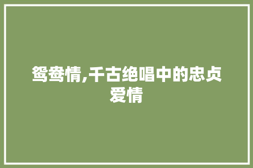 鸳鸯情,千古绝唱中的忠贞爱情