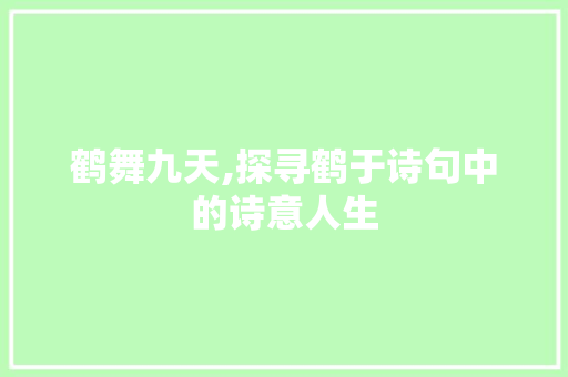 鹤舞九天,探寻鹤于诗句中的诗意人生 国学经典