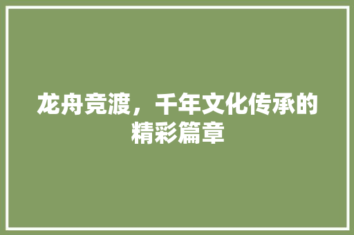 龙舟竞渡，千年文化传承的精彩篇章