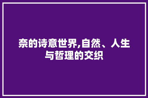 奈的诗意世界,自然、人生与哲理的交织 工作计划