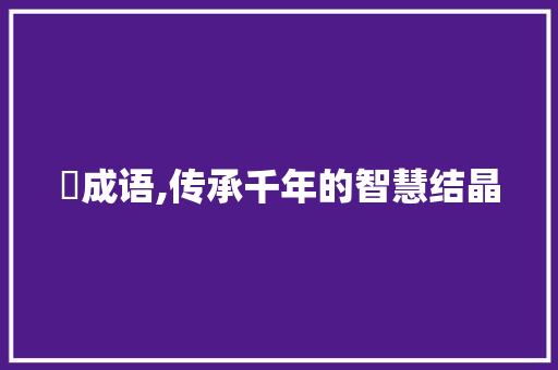楪成语,传承千年的智慧结晶
