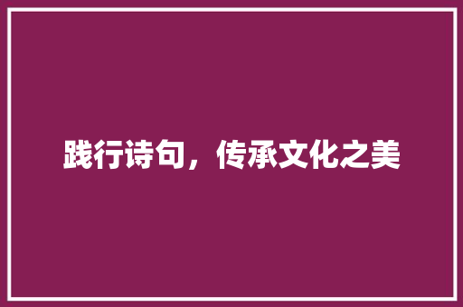 践行诗句，传承文化之美