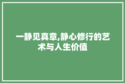 一静见真章,静心修行的艺术与人生价值