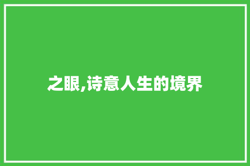 之眼,诗意人生的境界