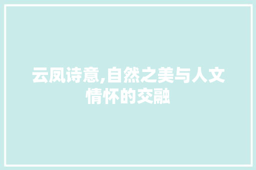 云凤诗意,自然之美与人文情怀的交融