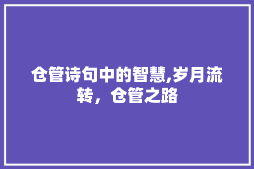 仓管诗句中的智慧,岁月流转，仓管之路