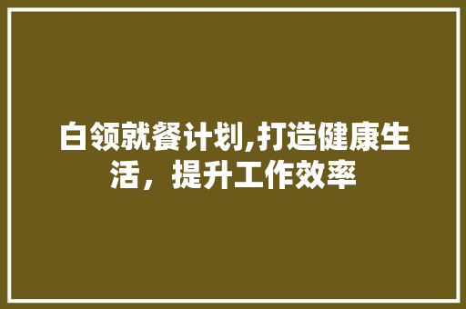 白领就餐计划,打造健康生活，提升工作效率