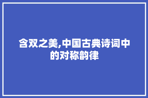 含双之美,中国古典诗词中的对称韵律