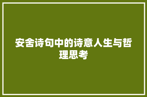 安舍诗句中的诗意人生与哲理思考