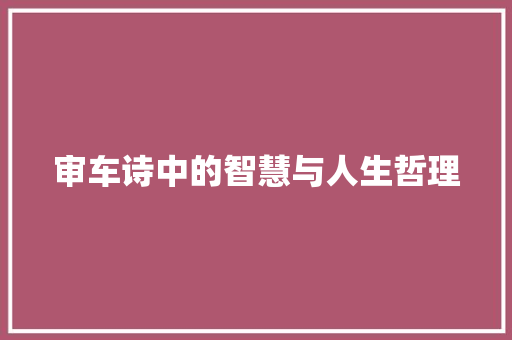 审车诗中的智慧与人生哲理