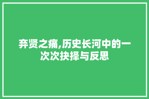 弃贤之痛,历史长河中的一次次抉择与反思
