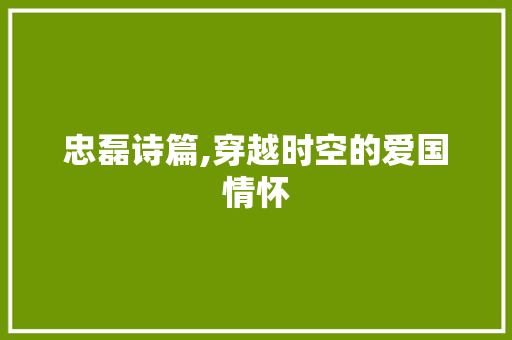 忠磊诗篇,穿越时空的爱国情怀