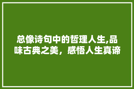 总像诗句中的哲理人生,品味古典之美，感悟人生真谛