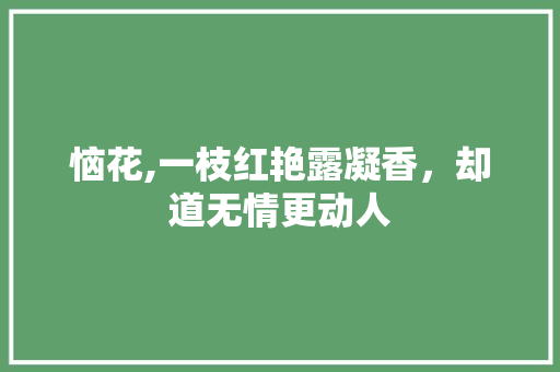 恼花,一枝红艳露凝香，却道无情更动人