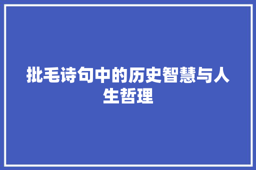 批毛诗句中的历史智慧与人生哲理