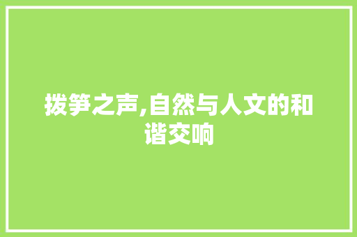 拨笋之声,自然与人文的和谐交响