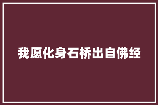 敷胃，传承千年的中医智慧