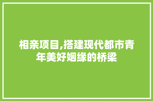 相亲项目,搭建现代都市青年美好姻缘的桥梁
