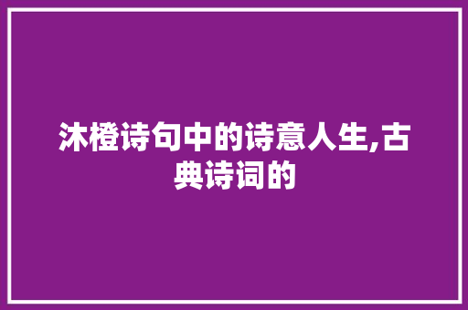 沐橙诗句中的诗意人生,古典诗词的