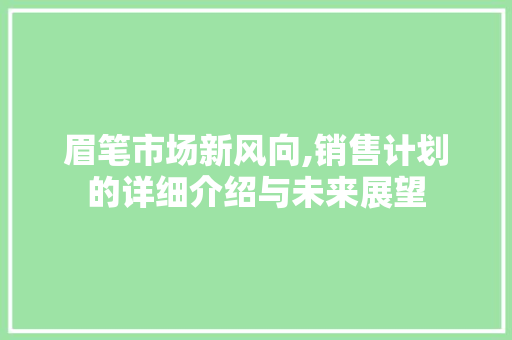 眉笔市场新风向,销售计划的详细介绍与未来展望
