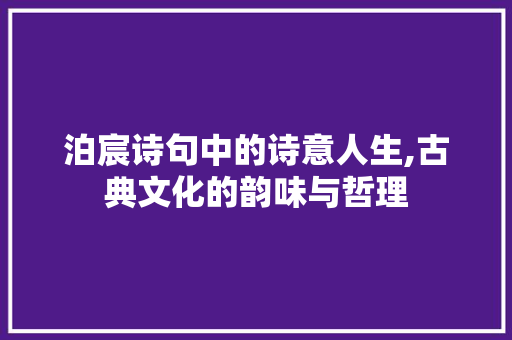 泊宸诗句中的诗意人生,古典文化的韵味与哲理