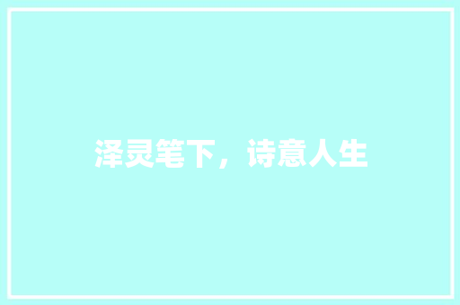 泽灵笔下，诗意人生