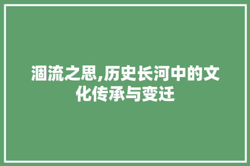 涸流之思,历史长河中的文化传承与变迁