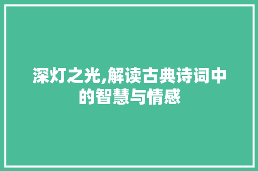 深灯之光,解读古典诗词中的智慧与情感