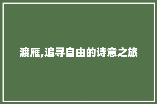 渡雁,追寻自由的诗意之旅