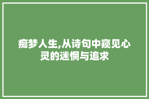 痴梦人生,从诗句中窥见心灵的迷惘与追求