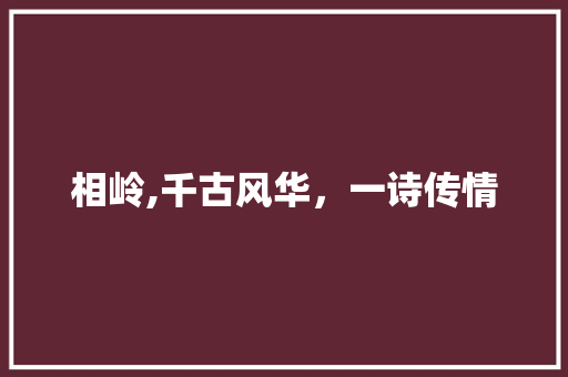 相岭,千古风华，一诗传情