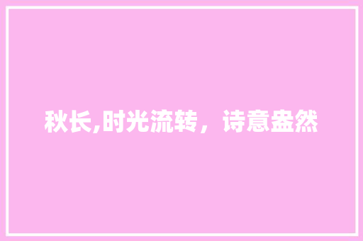 秋长,时光流转，诗意盎然