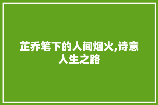 芷乔笔下的人间烟火,诗意人生之路