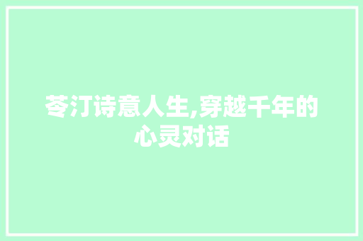 苓汀诗意人生,穿越千年的心灵对话