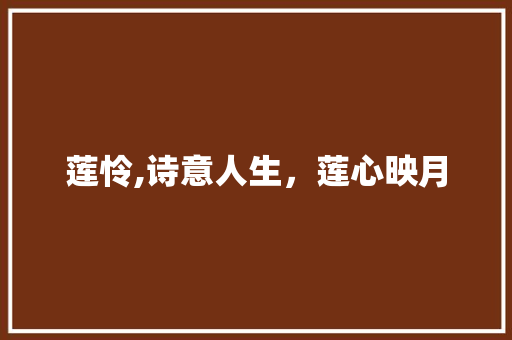 莲怜,诗意人生，莲心映月