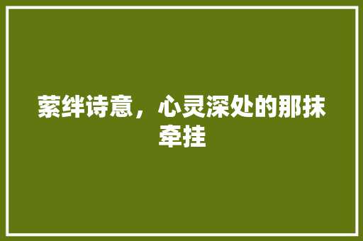 萦绊诗意，心灵深处的那抹牵挂