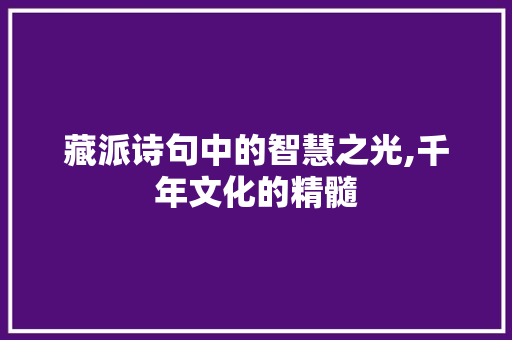 藏派诗句中的智慧之光,千年文化的精髓