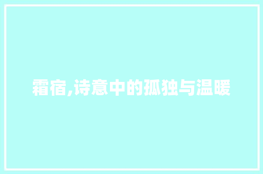 霜宿,诗意中的孤独与温暖