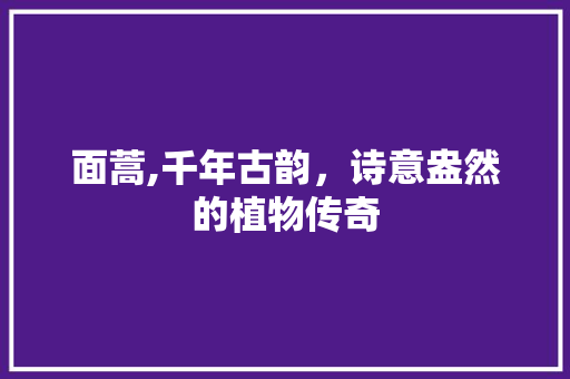 面蒿,千年古韵，诗意盎然的植物传奇
